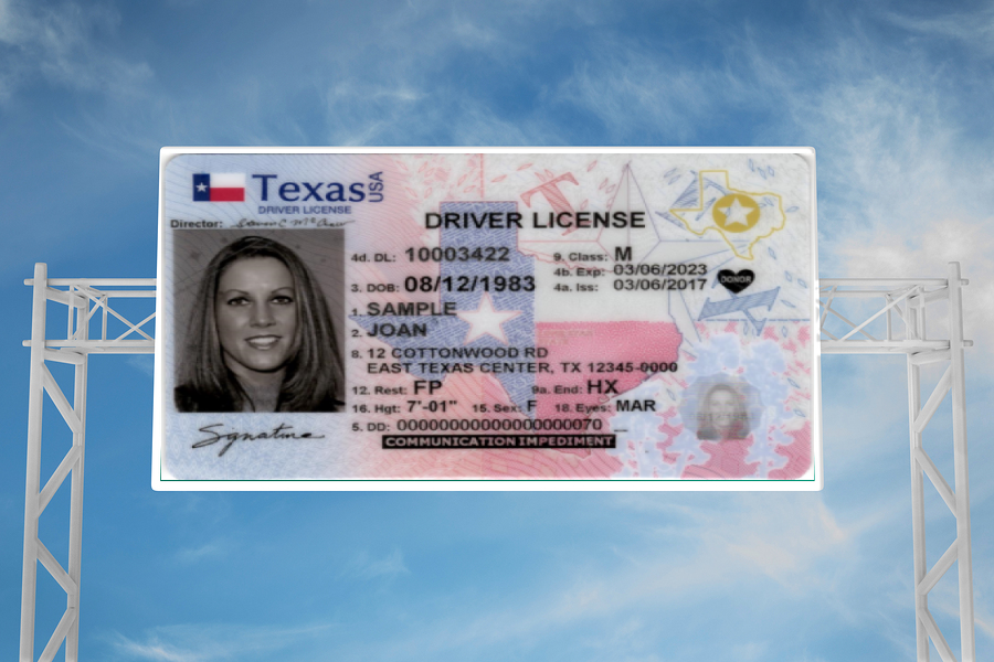 Driver License Services